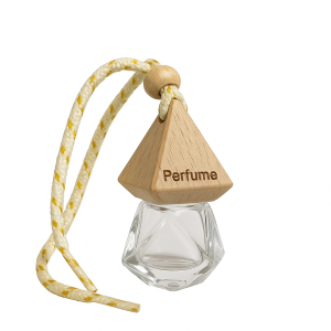 Car Perfume Hanging Pod